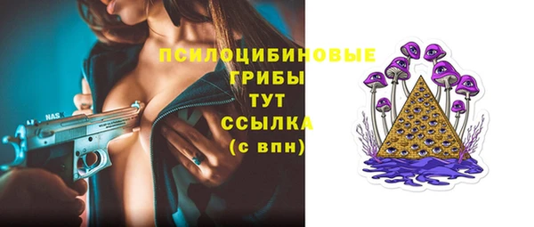 стаф Богородск