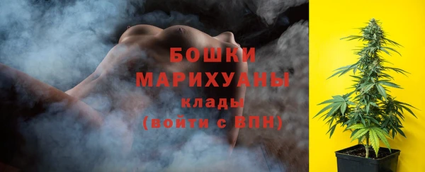 ECSTASY Бородино
