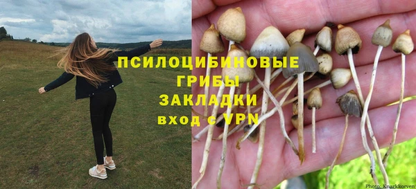 метадон Белокуриха