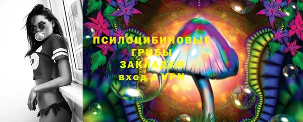 стаф Богородск